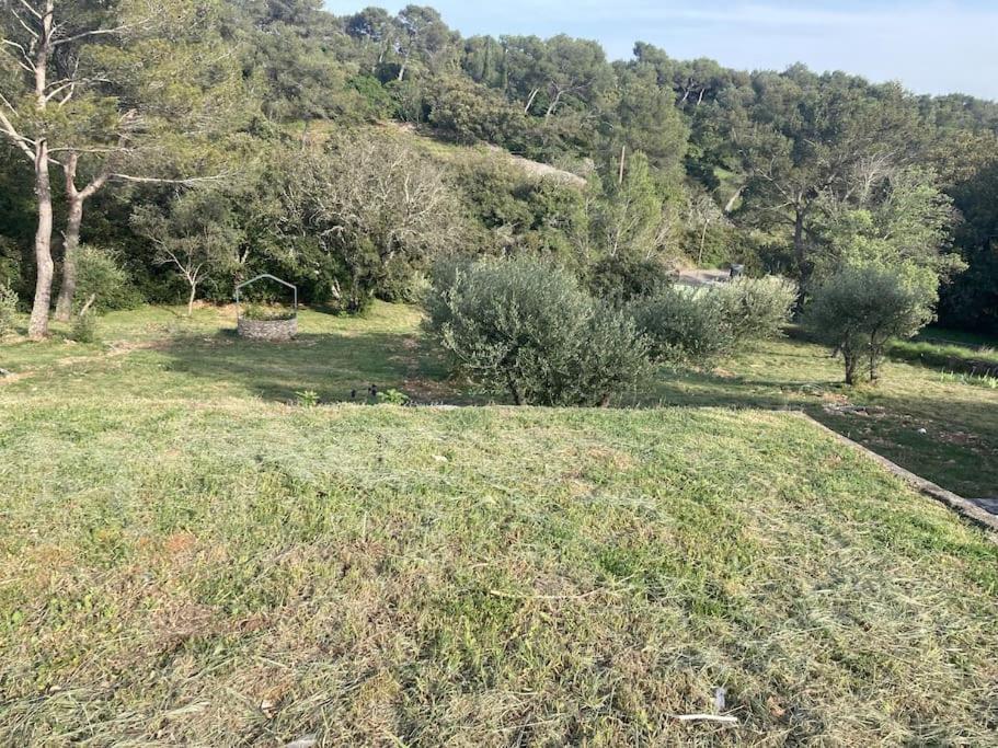 Magnifique Villa De Luxe Au Coeur De La Garrigue Nîmes Kültér fotó